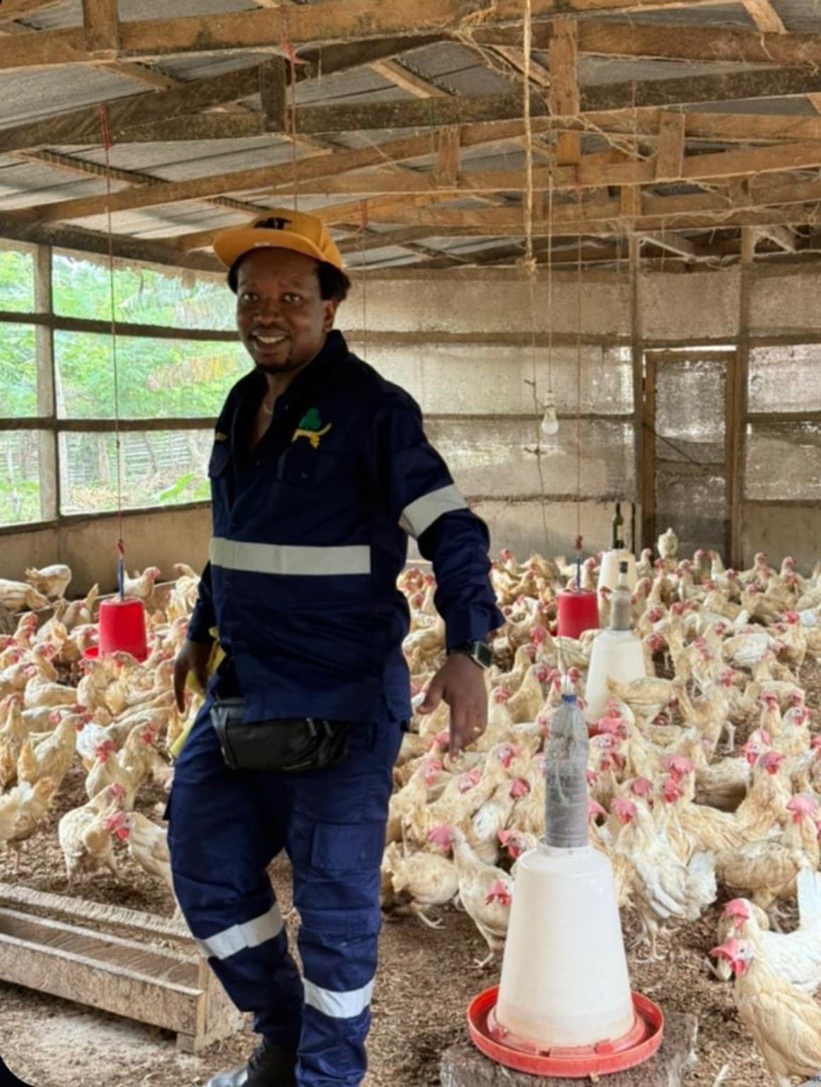 Poultry